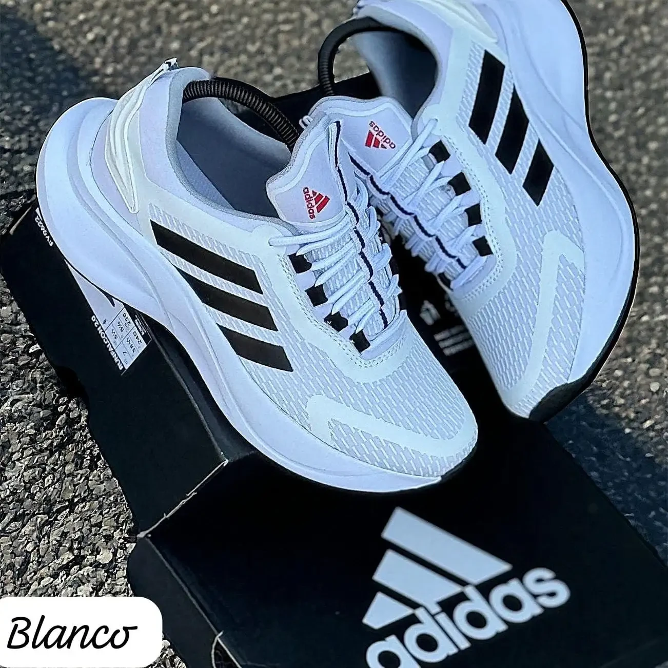 Tenis Blanco Caballero 