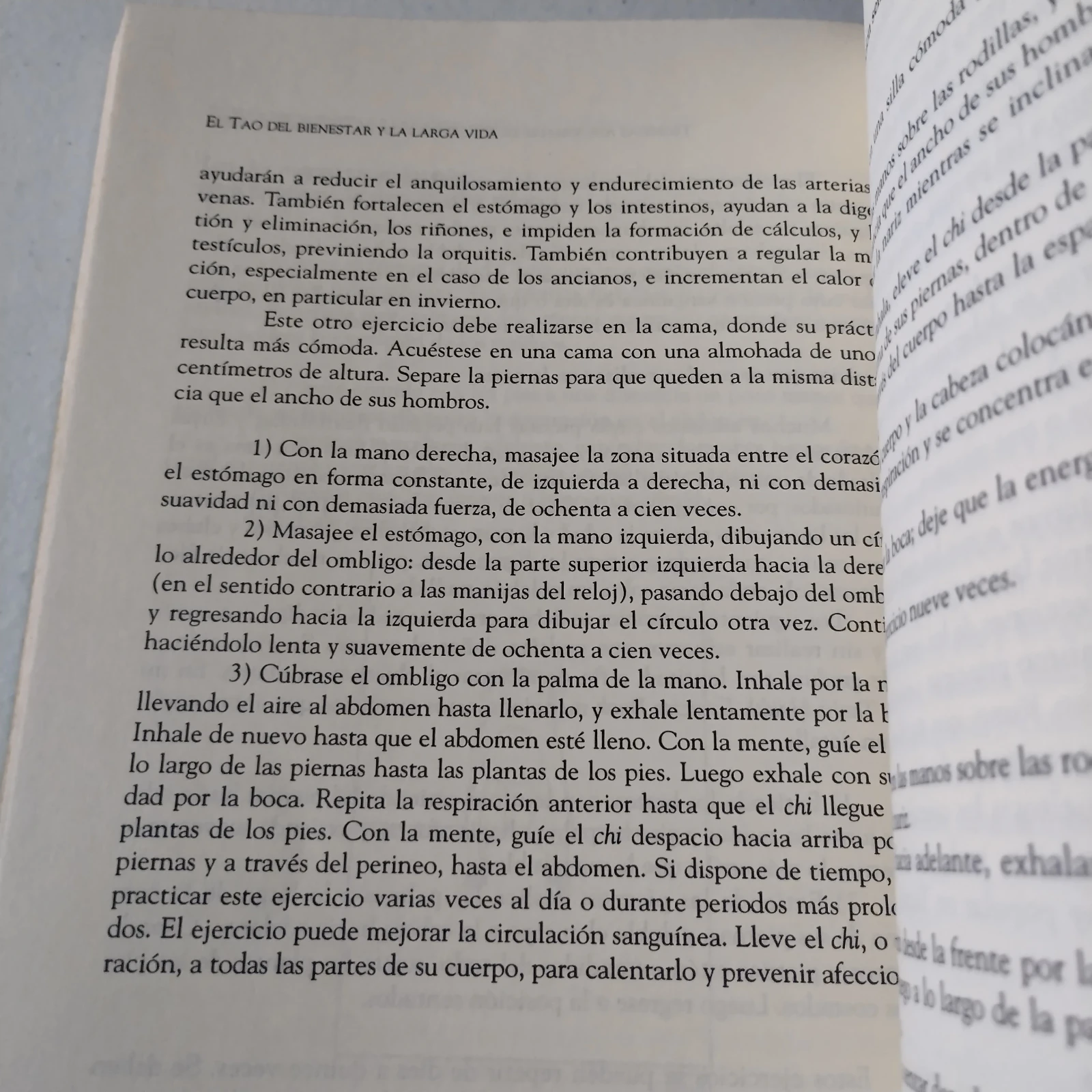 El Tao del bienestar y la larga vida, Da Liu, usado 3