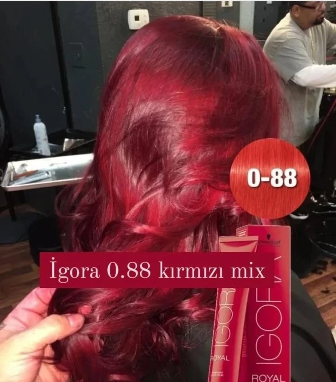 igora 0.88 tono mezcla rojo tinte