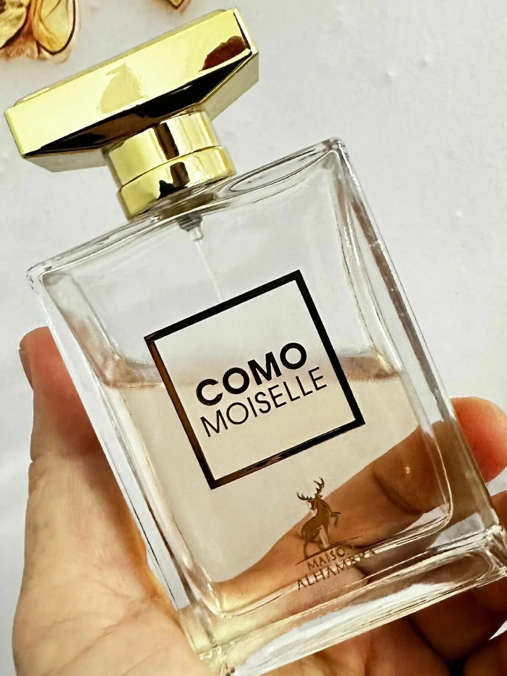 Como Moiselle 3