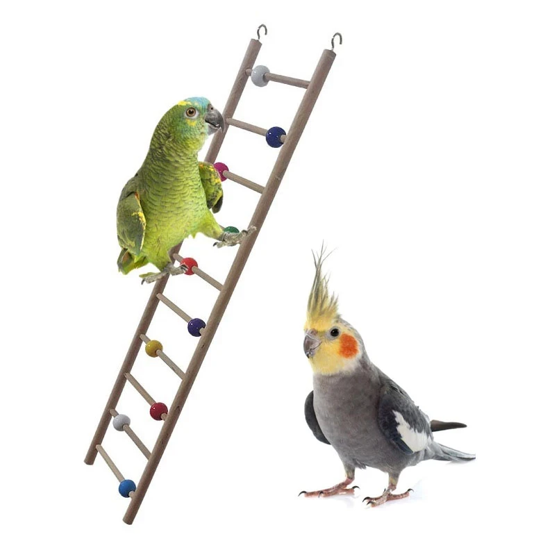 Escalera Colores 10 Pasos 51*11cm Epl-34
