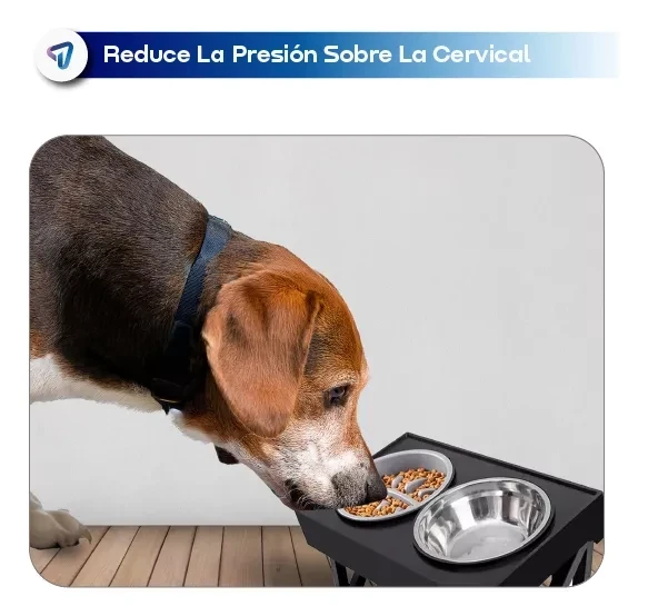 BEBEDERO Y COMEDERO PARA MASCOTAS EN ALTURA Waggs PETF01  3
