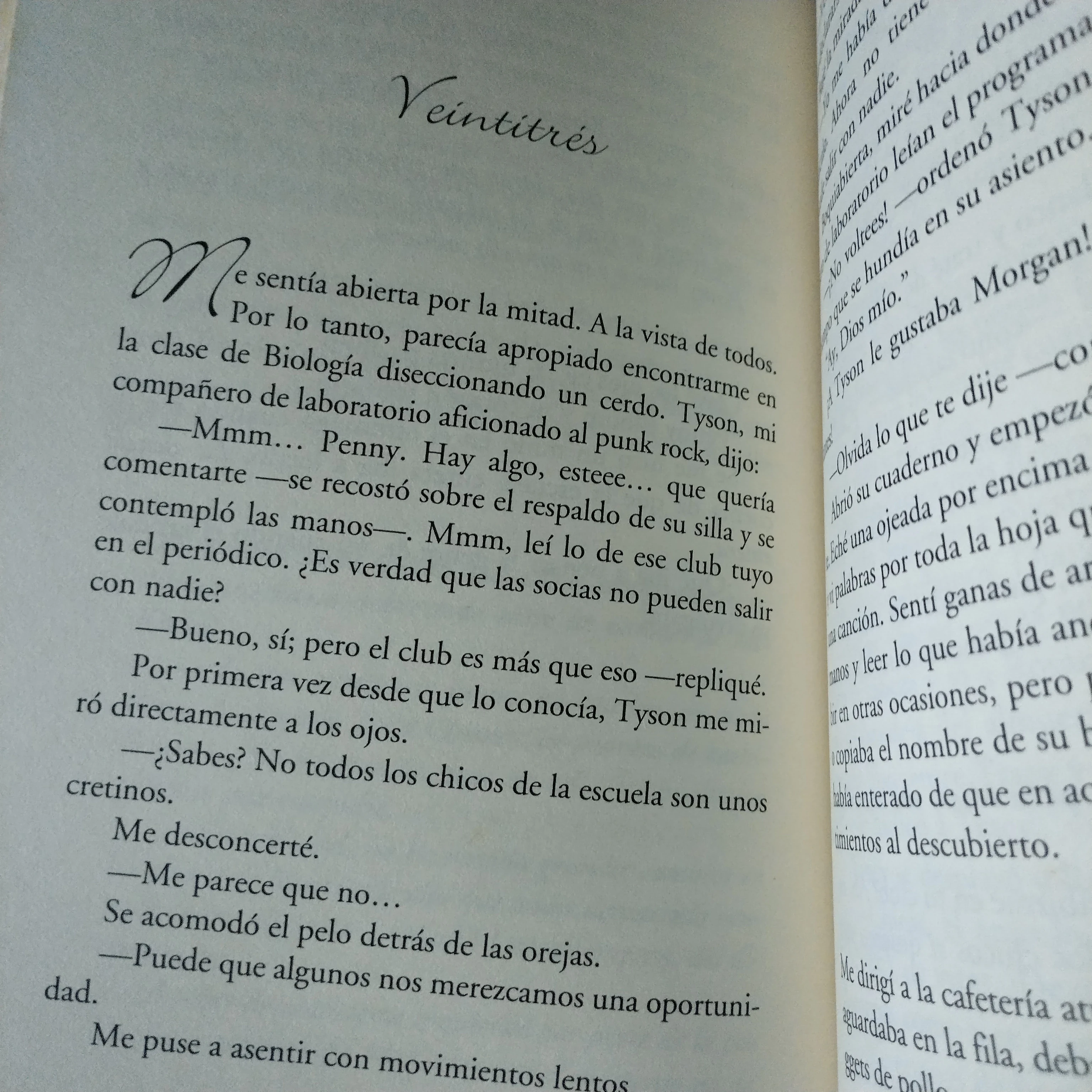 El club de los corazones solitarios, Elizabeth Eulberg, usado 3