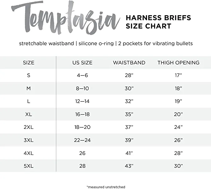 TEMPTASIA HARNESS BRIEFS 4