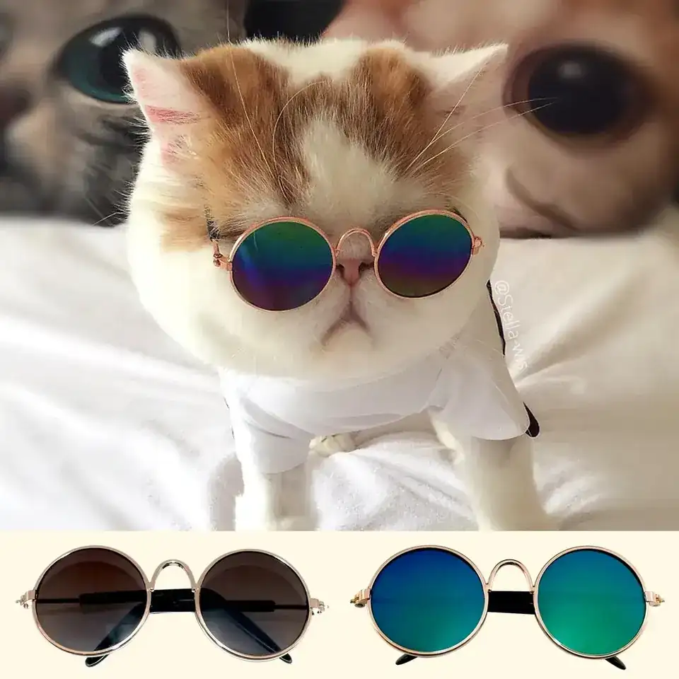Lentes para mascota 