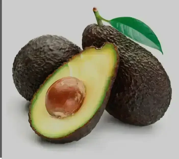 Palta hass injertada