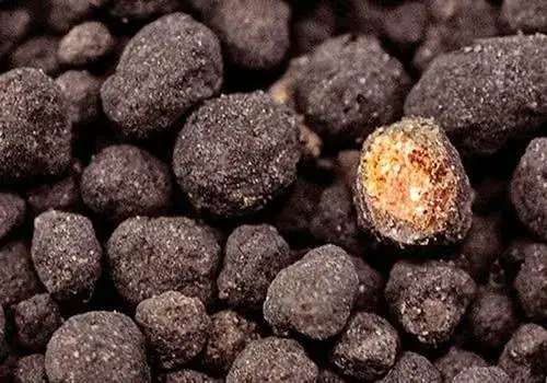 SUSTRATO NEO SOIL PLANTS 8 L  2