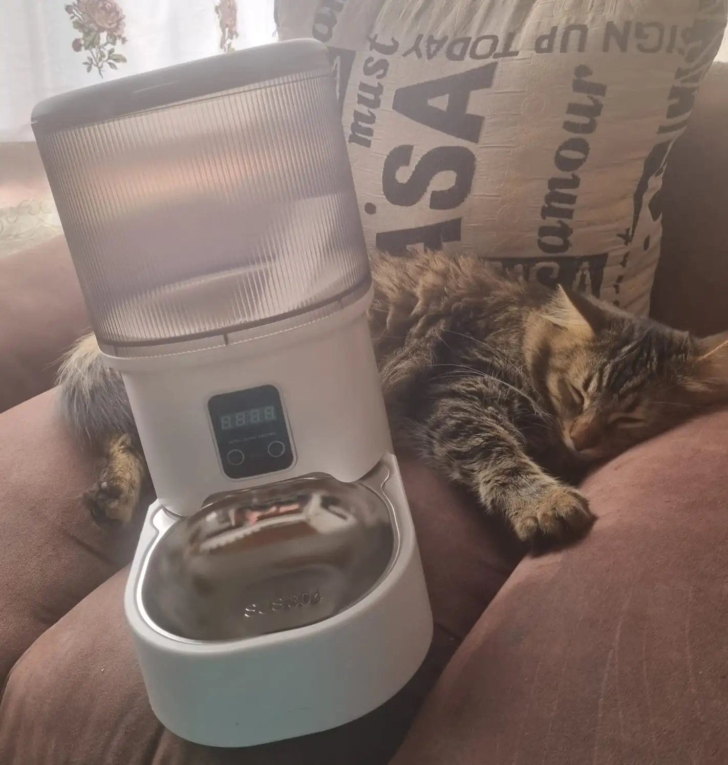 Alimentador automático mascotas