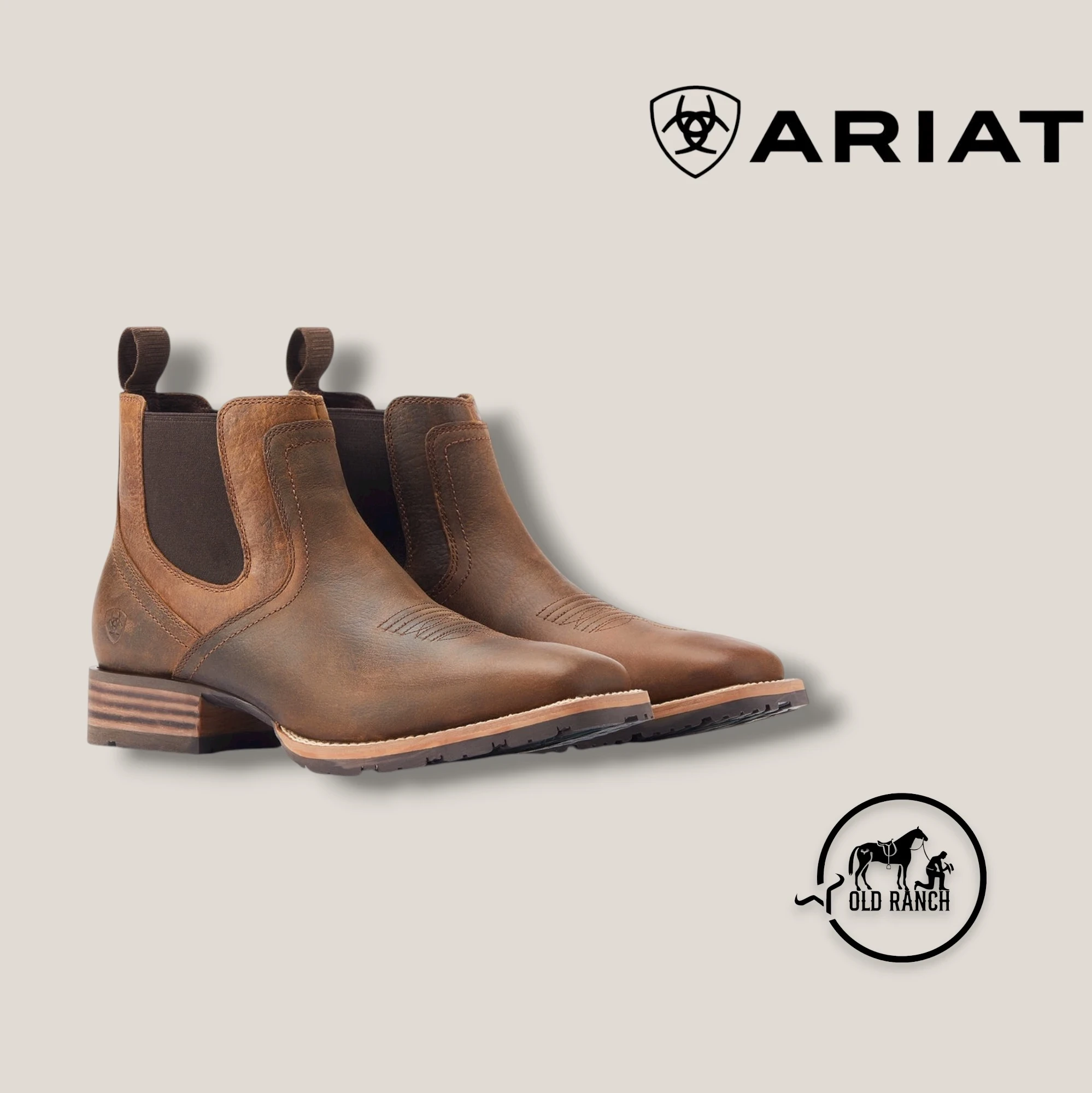 ARIAT 2