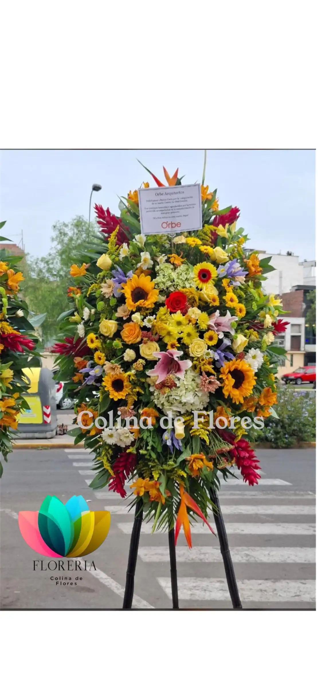 Tripode primaveral
