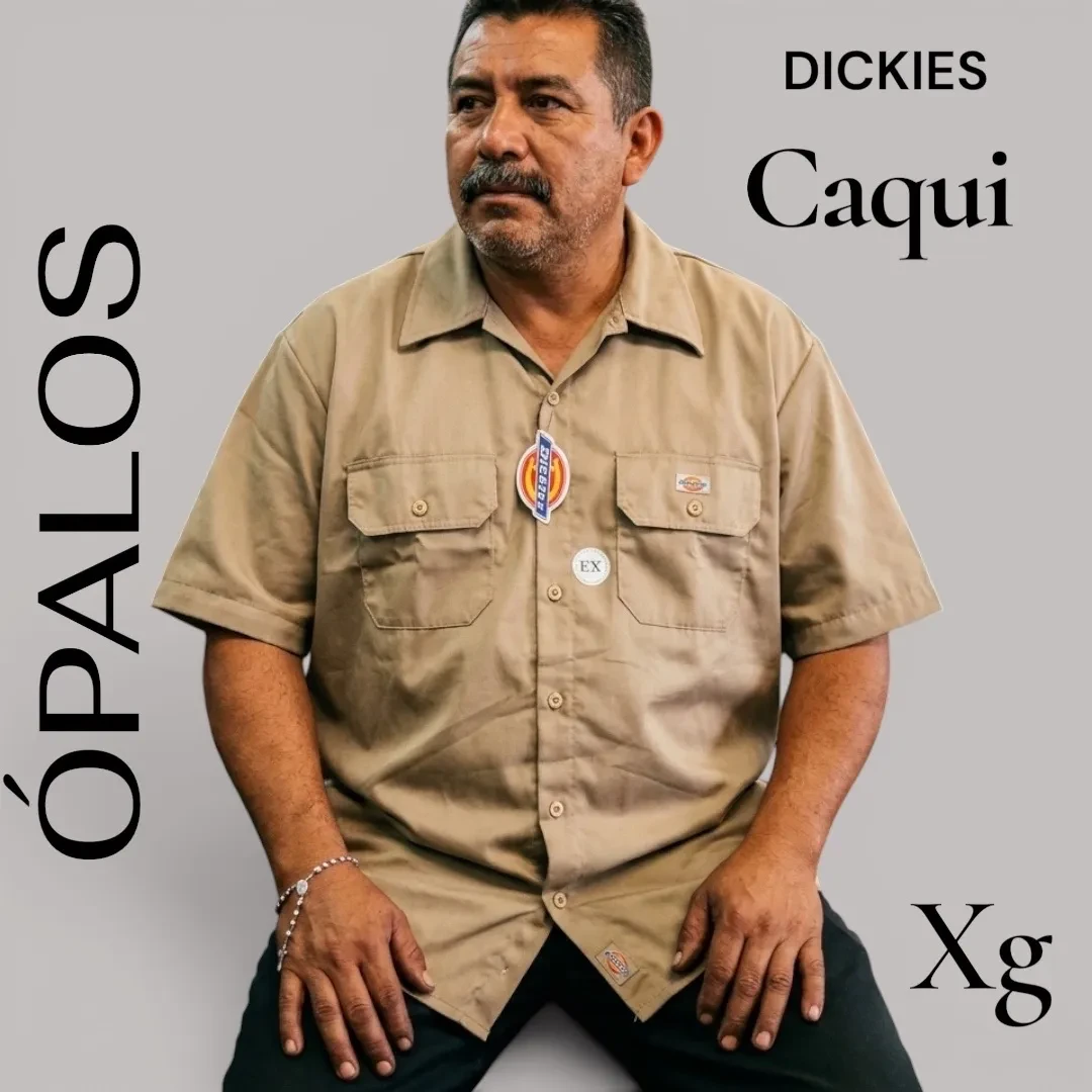 Camisa DICKIES XG