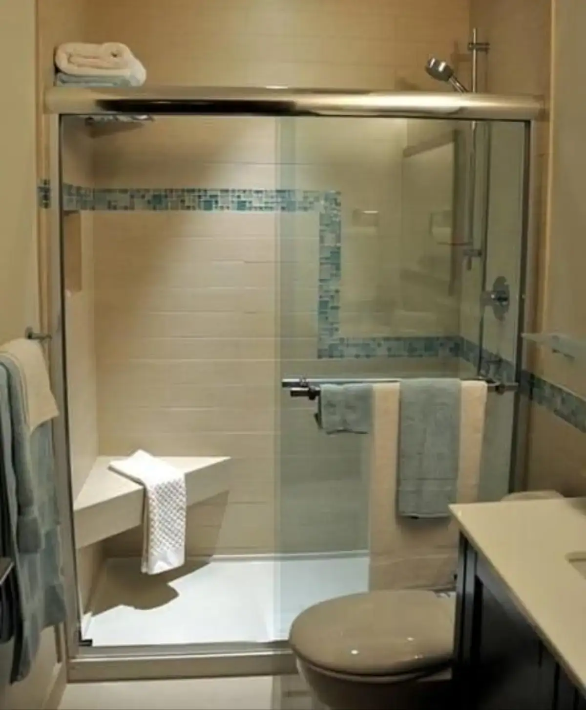 Puerta de baño modelo premium  2