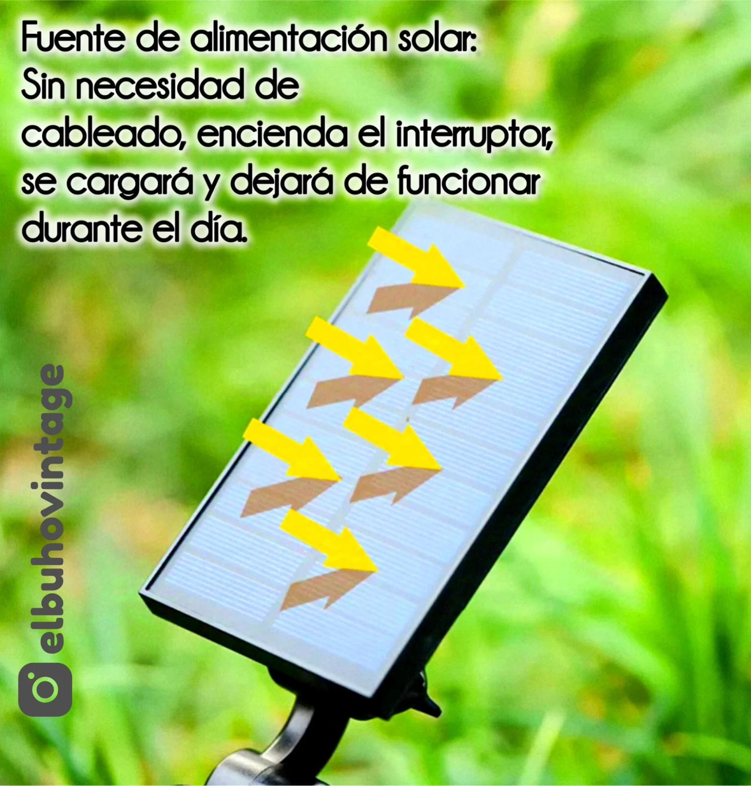 Estaca Solar para Jardín ☀️ 9