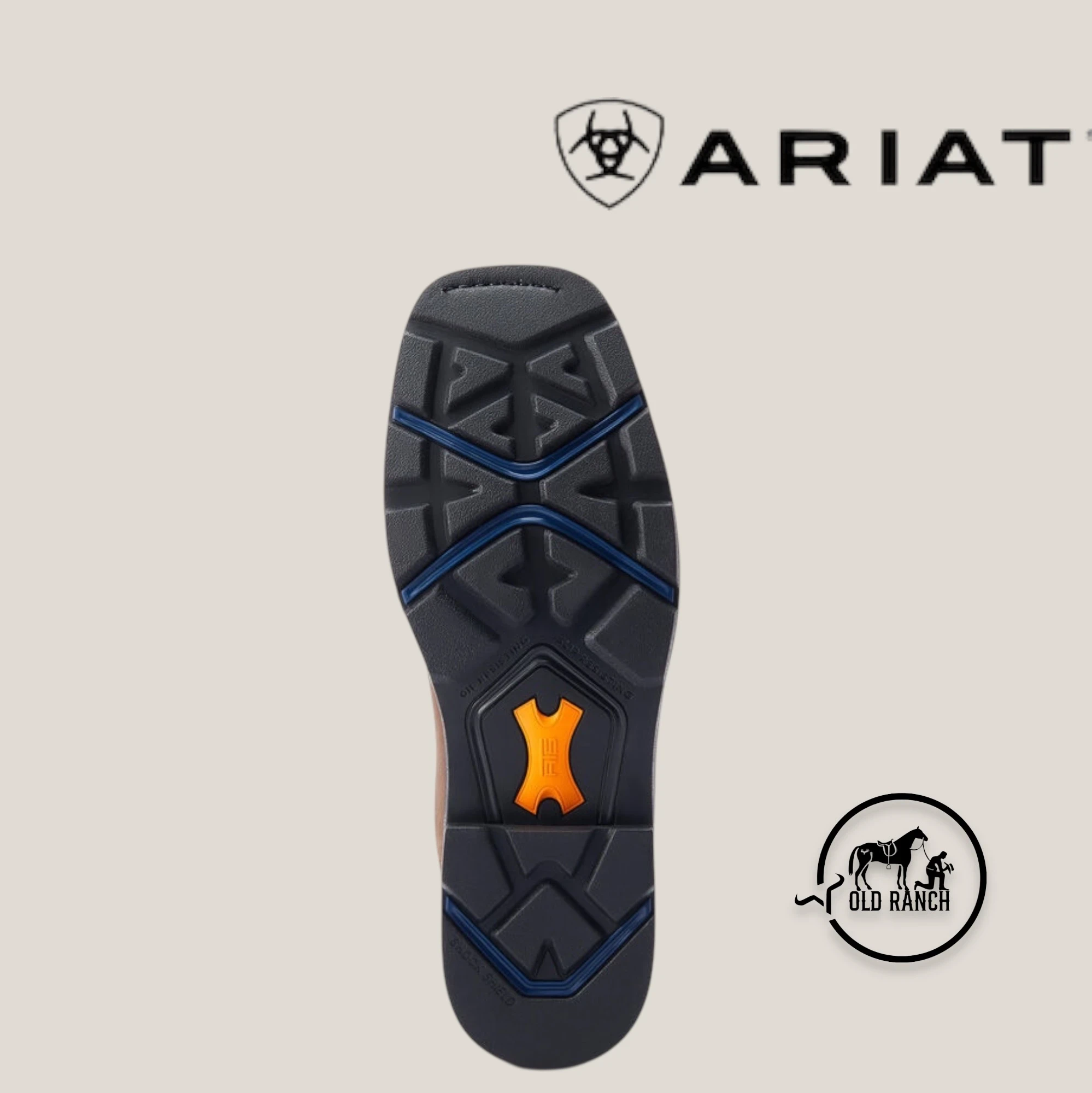 ARIAT 6