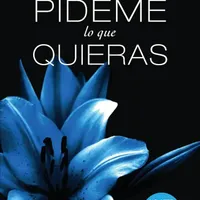 PIDEME LO QUE QUIERAS 1