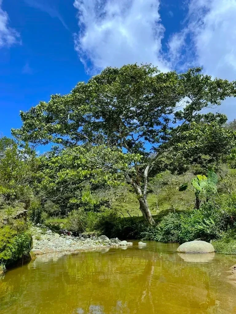 CAMINO DE BOTERO A SANTO DOMINGO ANTIOQUIA 3