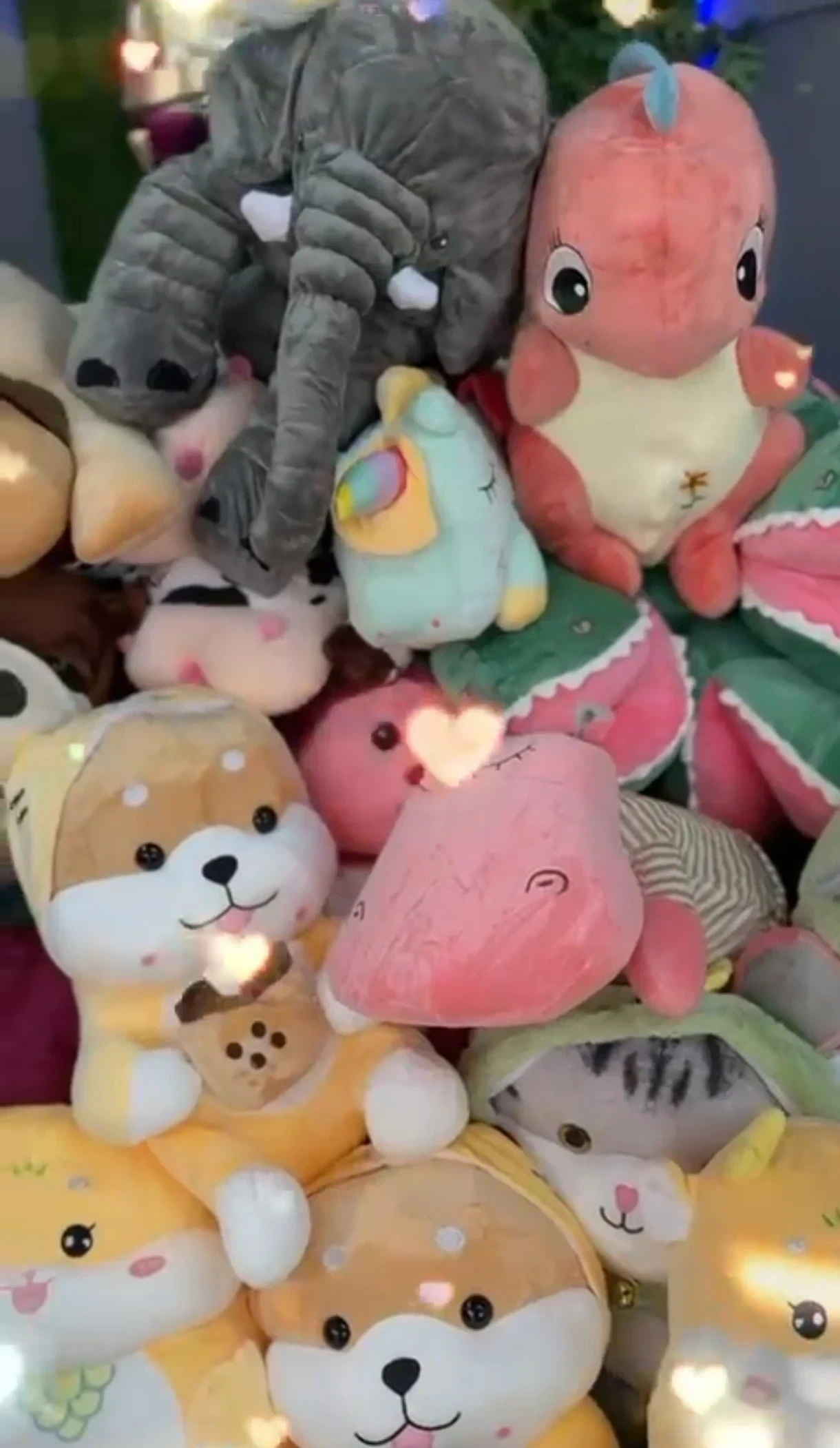 Peluche con Manta  3