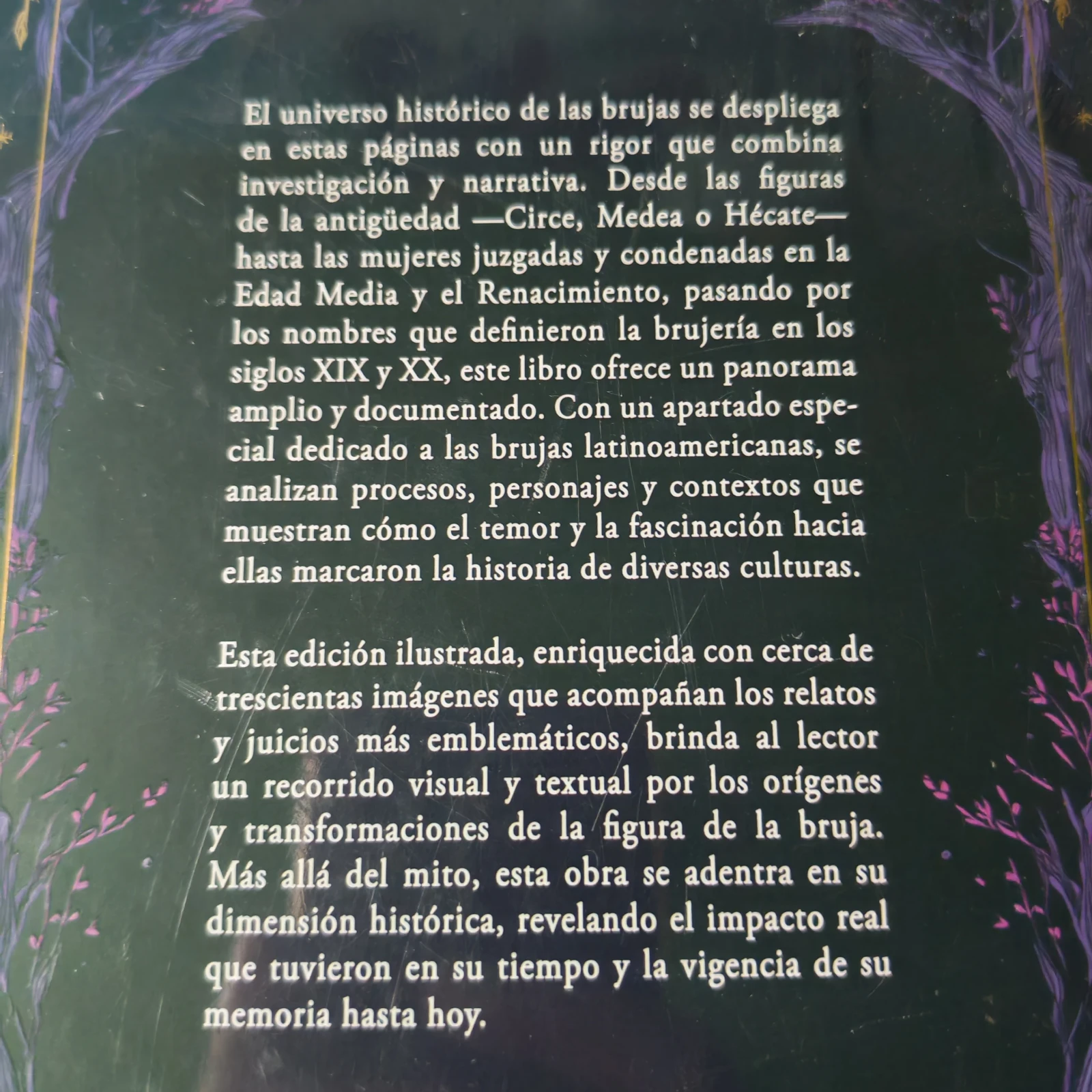 Todo sobre brujas Gabriela Ferrer Nuevo  2