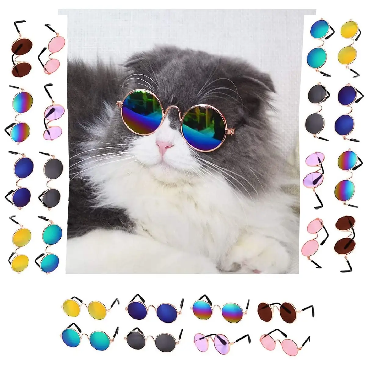 GAFAS DE SOL PARA MASCOTAS  2
