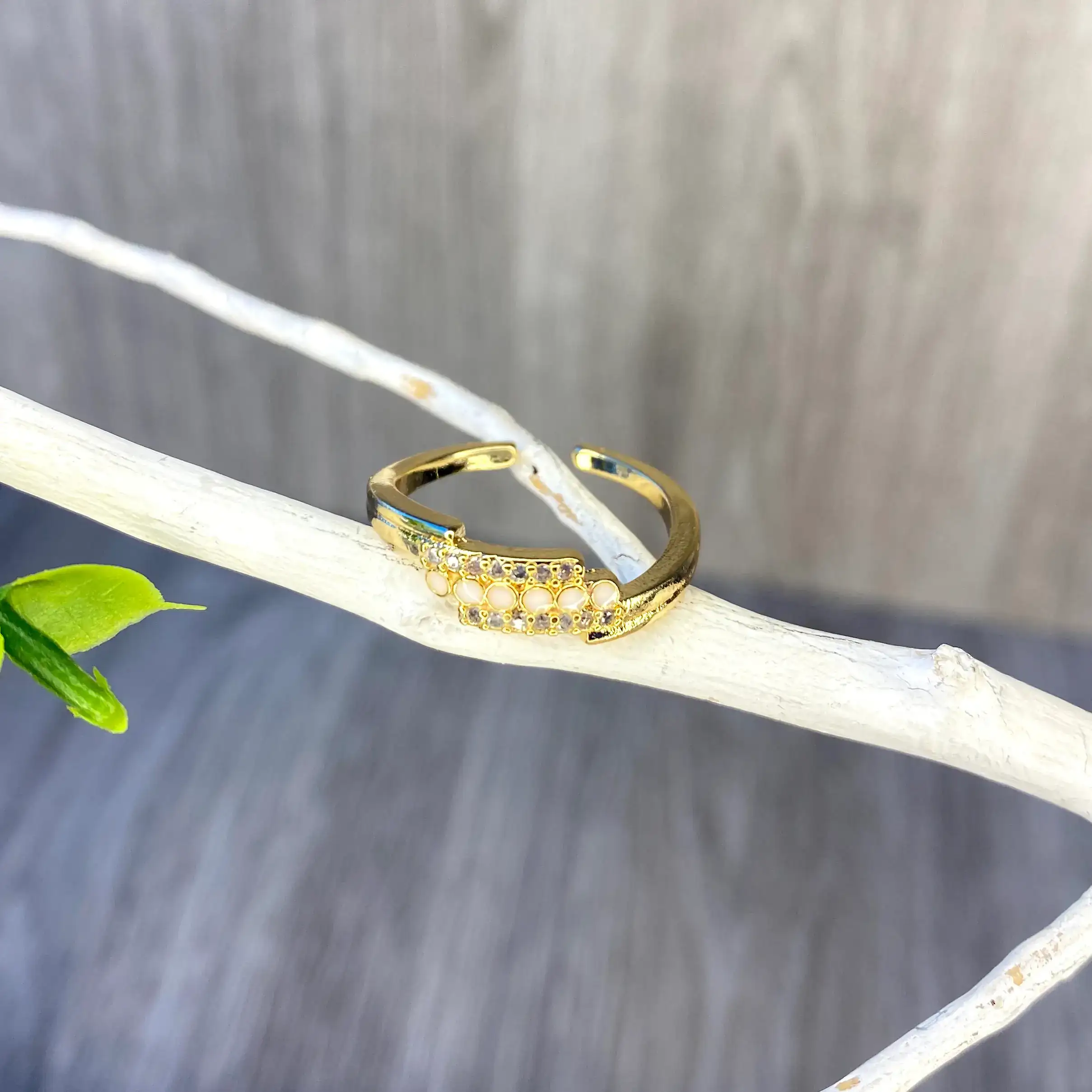 Anillo Orosco