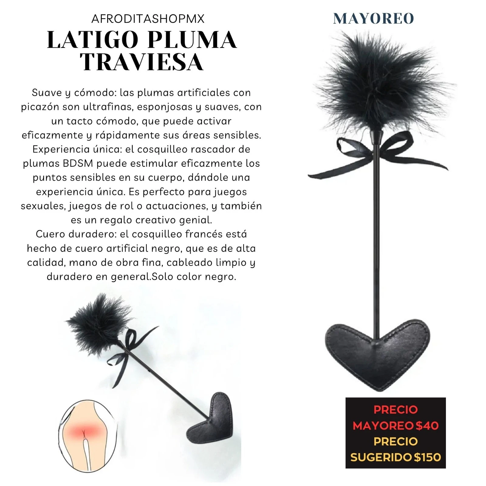 LATIGO PLUMA TRAVIESA