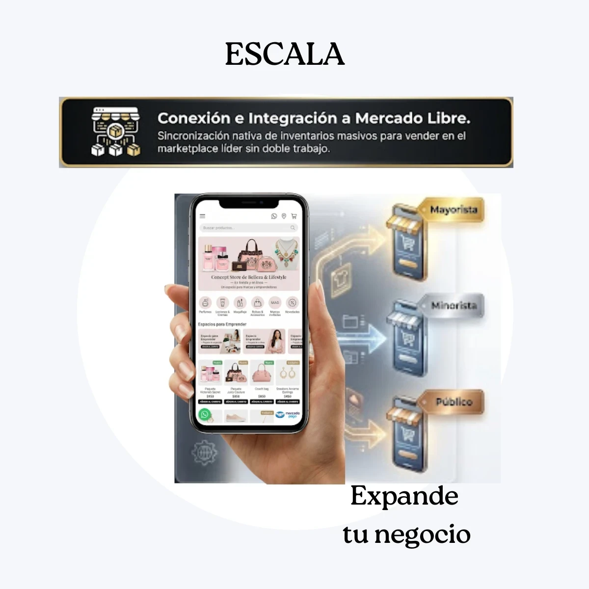 Catalogo Digital Concept Store/ Showrooms 9