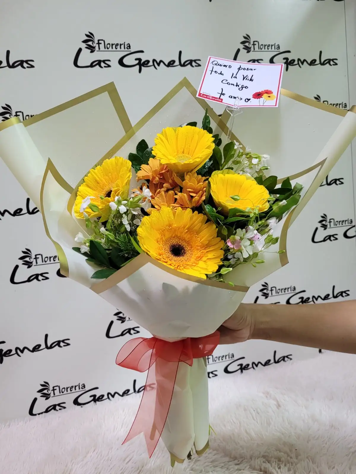 Gerberas color
