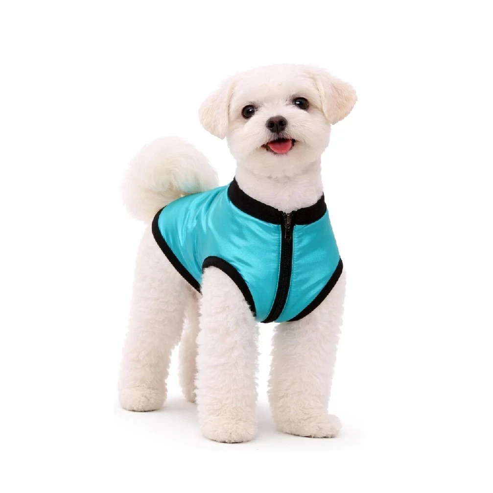 Faja post operatoria en hydrotech para macho turquesa tornasolada