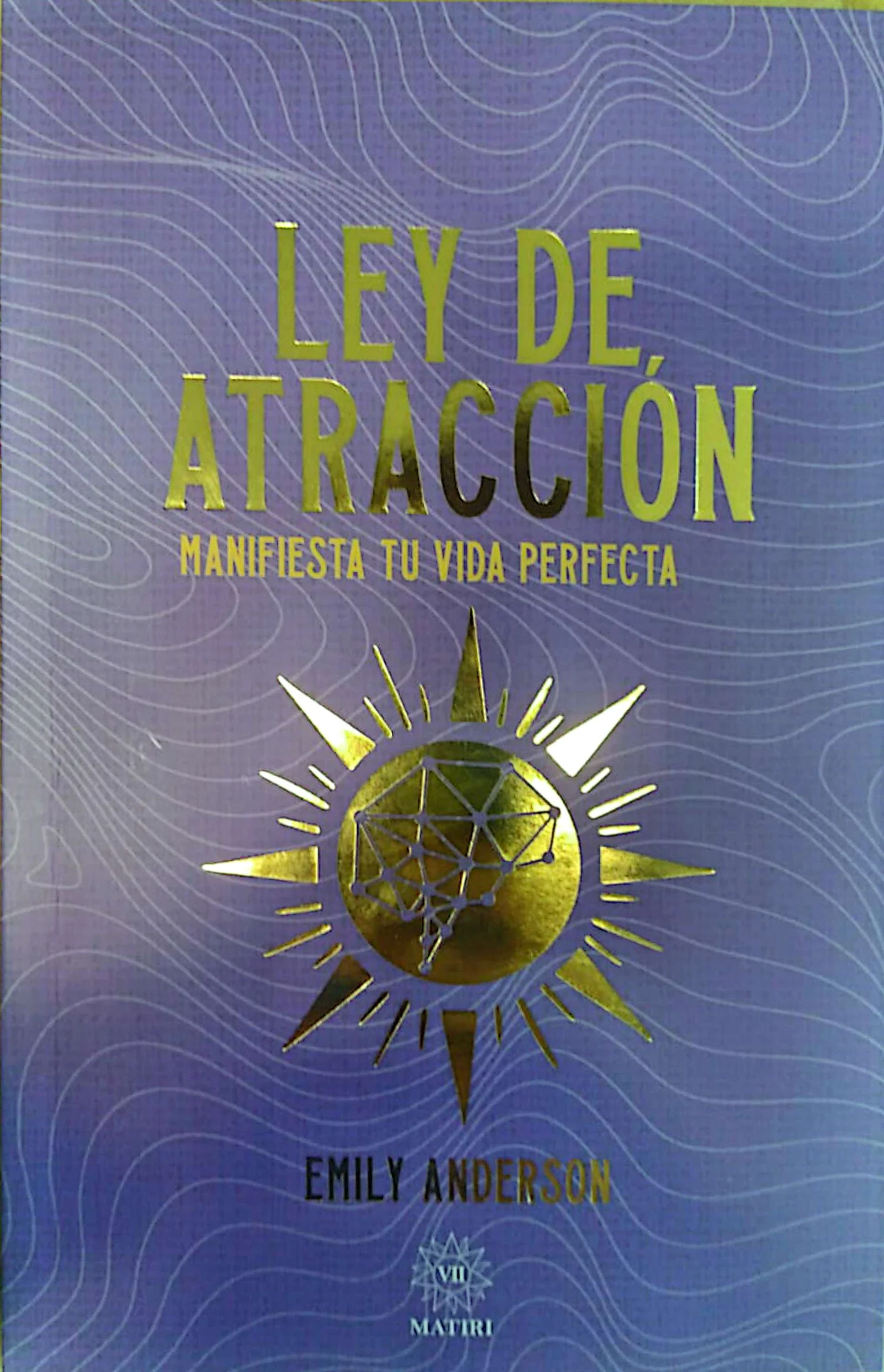 LEY DE LA ATRACCION - MANIFIESTA TU VIDA PERFECTA 
