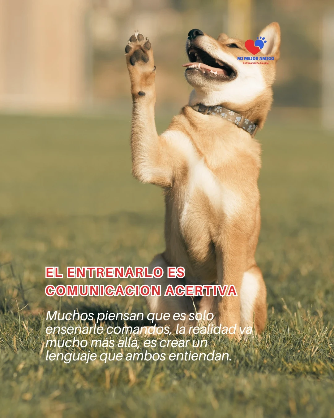 CURSO ADULTOS 3