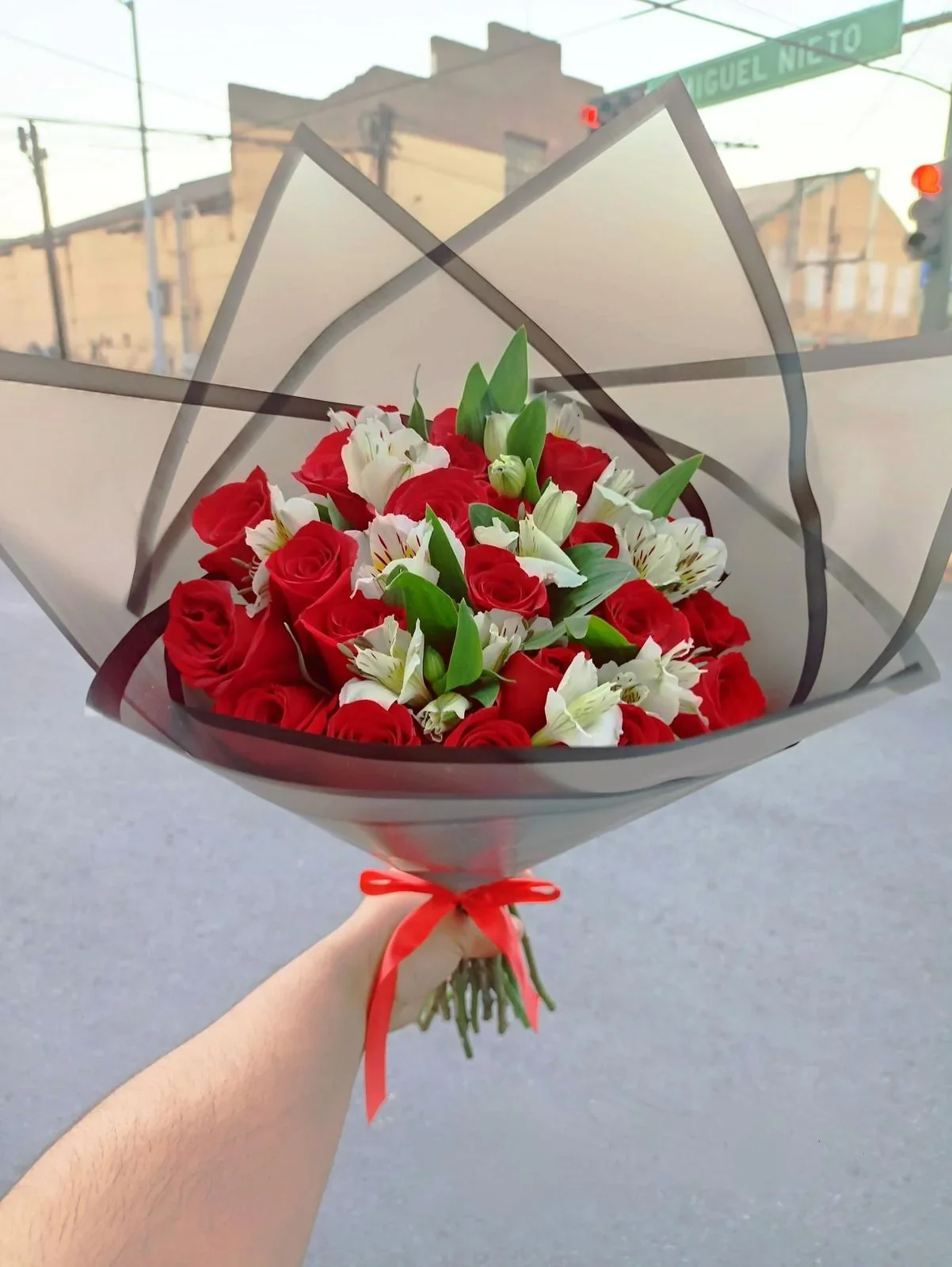 R24 24 Rosas y Astromielia