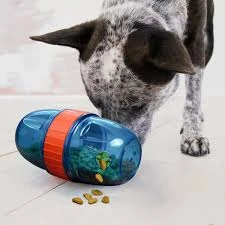 KONG SCUTTE POD LARGE 3