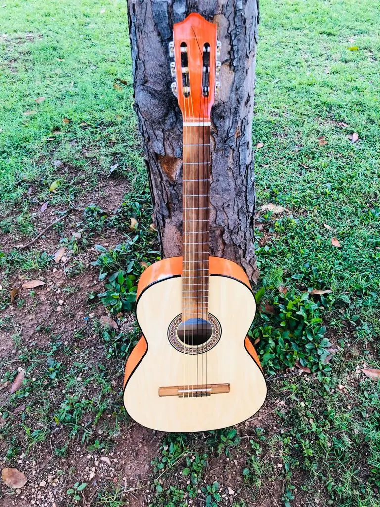 Guitarra tipo clasica