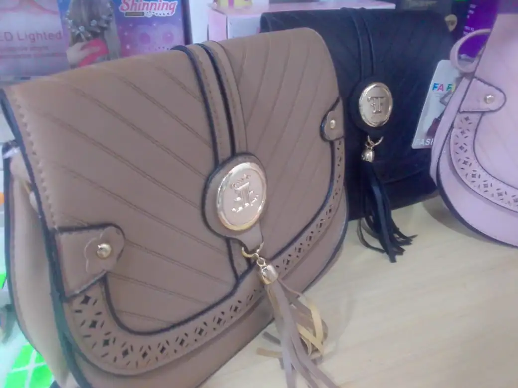Carteras para Dama 2