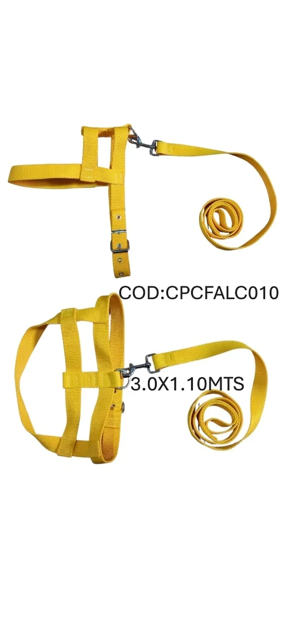 CONJUNTO T10 PRETAL FIJO+CORREA 