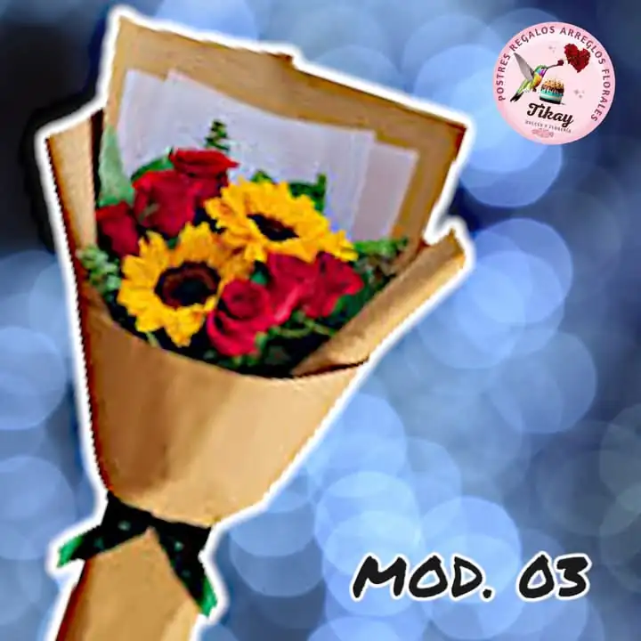 Mod. 03