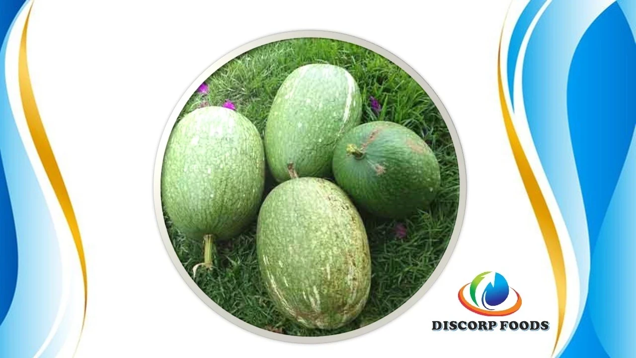 CALABAZA SERRANA