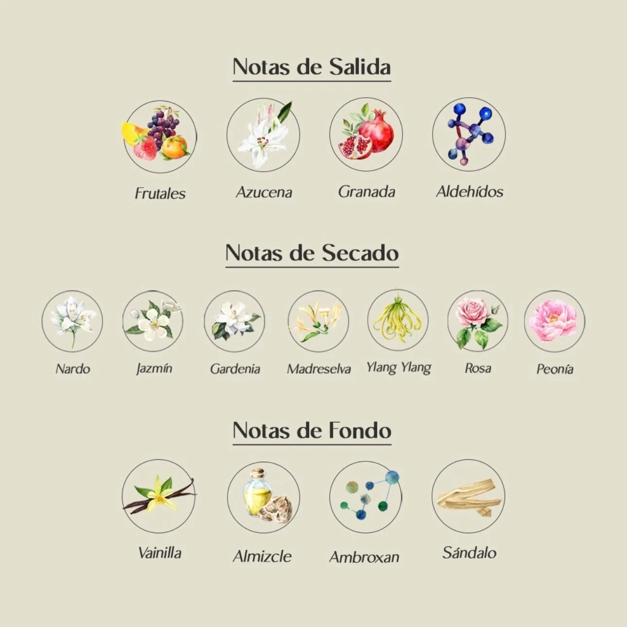 Fakhar Rose - Lattafa 1.1 - Mujer 2