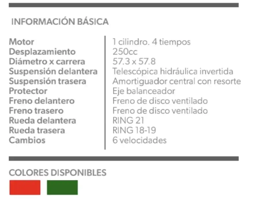 Moto a gasolina Desert Gy-250 2