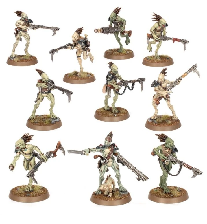 Kroot Carnivores