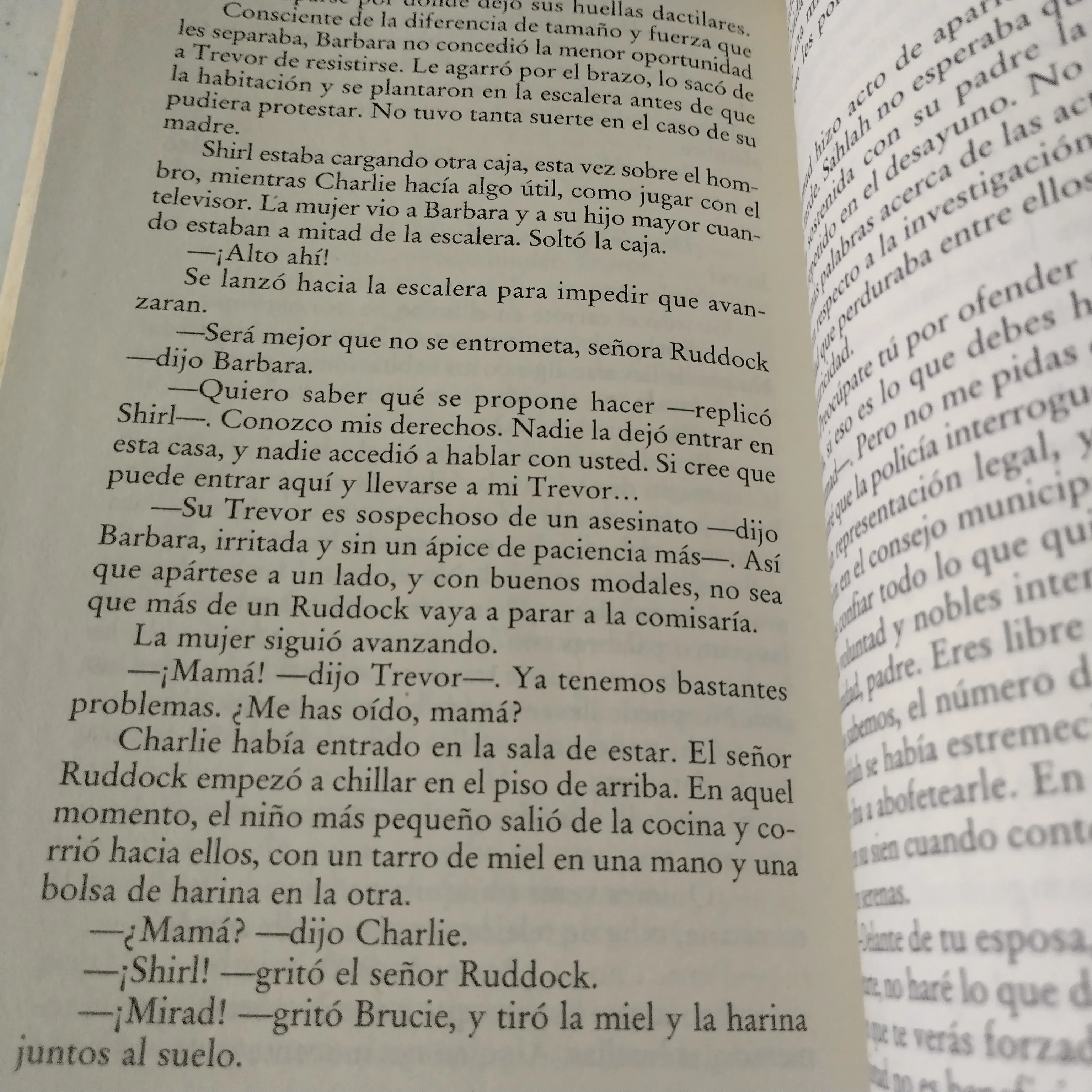 El precio del engaño, Elizabeth George, usado 3