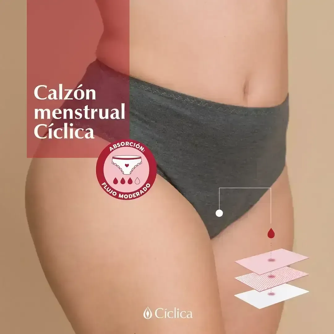 Panty menstrual