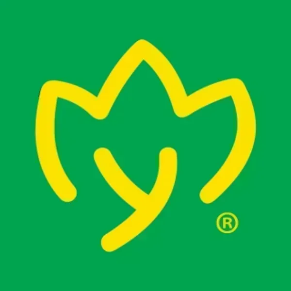 La Rosa Amarilla 
