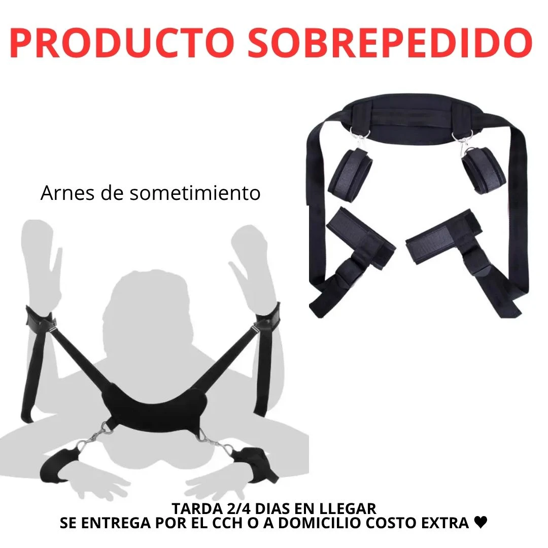 ARNES DE SOMETIMIENTO