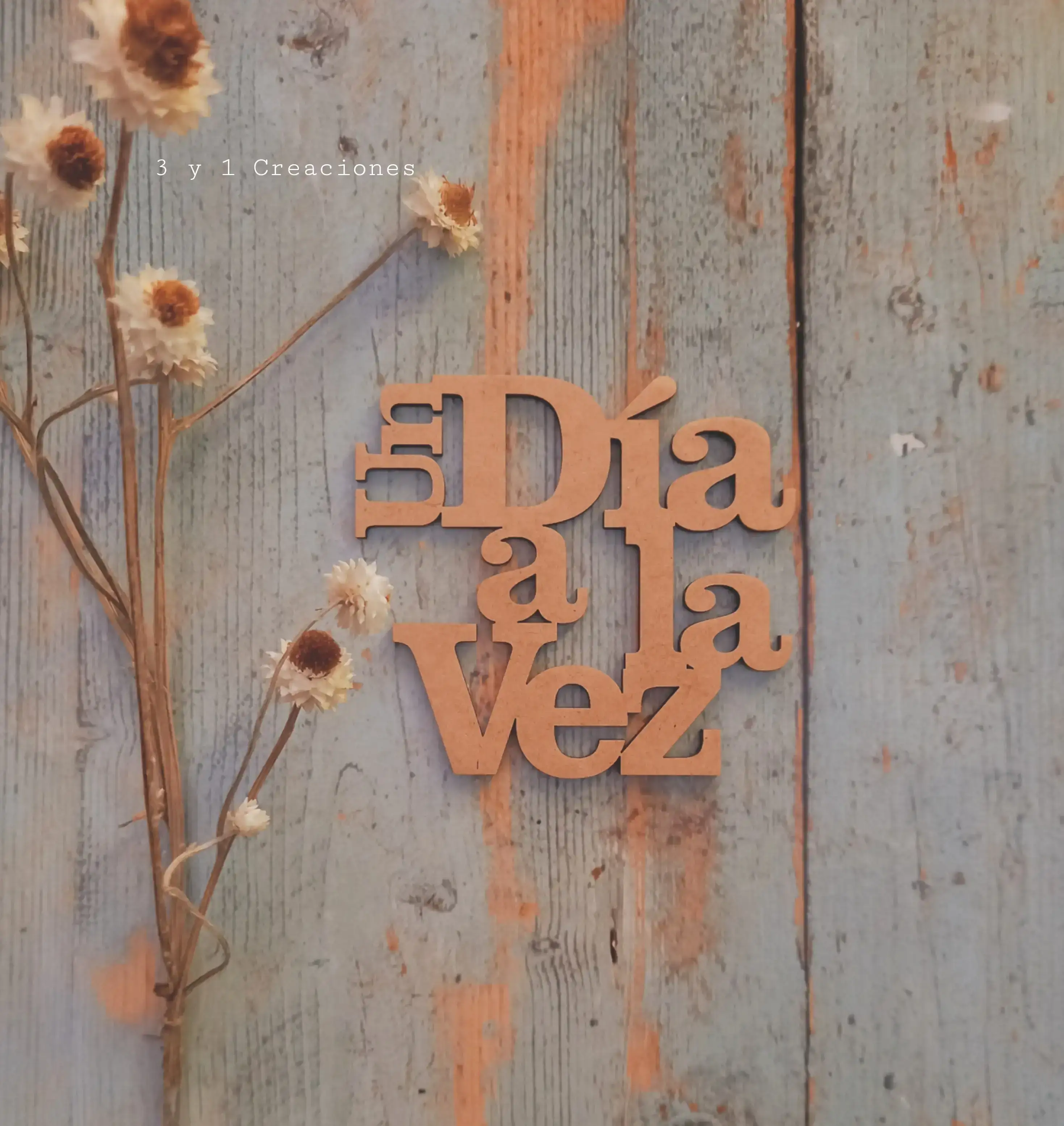 UN DÍA