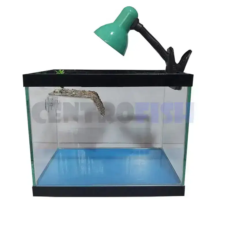 COMBO TORTUGUERO COD. 1173 2