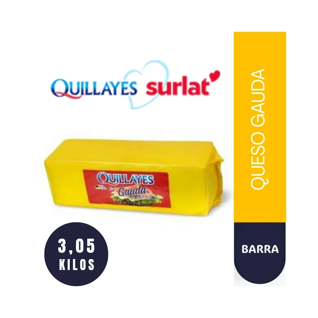 QUESO GAUDA BARRA 3,05