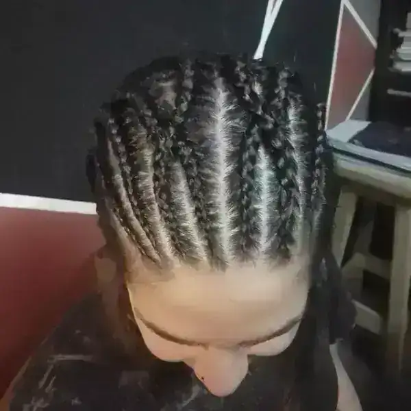 Ocho trenzas, dos cruzadas