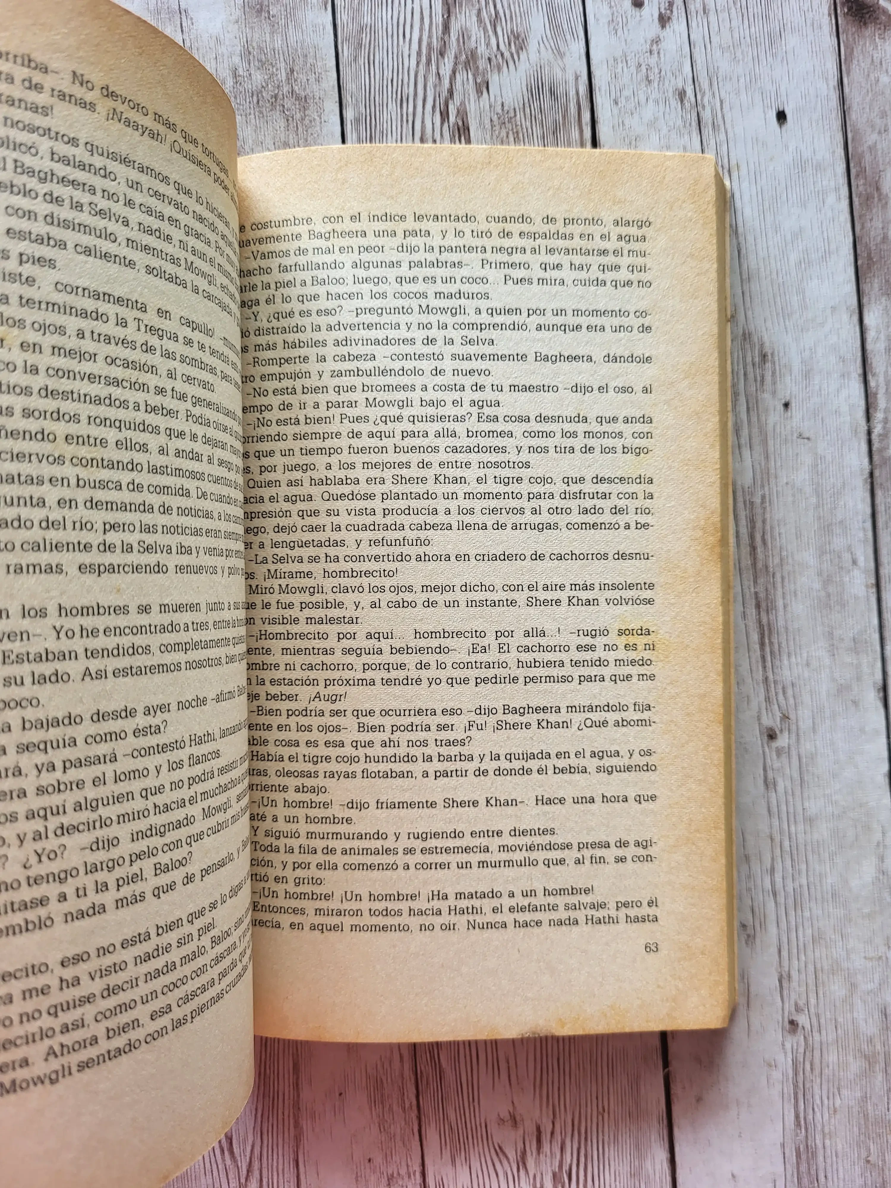 El libro de las tierras vírgenes / Rudyard Kipling /Aventura 3