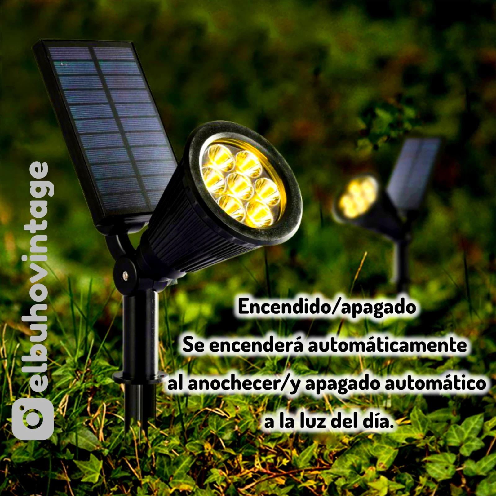 Estaca Solar para Jardín ☀️ 8
